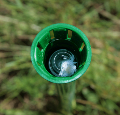 Duftzaun Schwalingen, Duftsäule K21