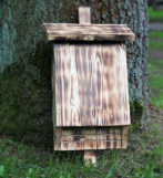 Ein Fledermauskasten für Lukas Griem