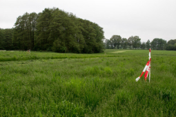 Schwalingen, "Auf der Röpshöhe", Flatterfahnen für die Kitzrettung.