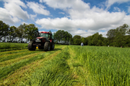 Jürgen Schachtschneider sucht seine Wiese nach dem Kitz ab.