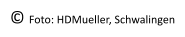 © Foto: HDMueller, Schwalingen